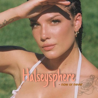 Логотип halseysphere