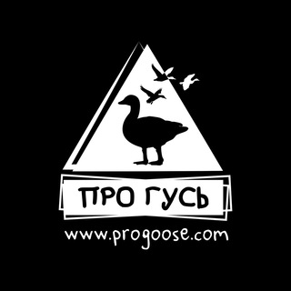 Логотип канала progoose