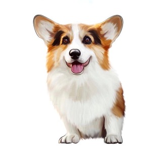 Логотип corgosha1