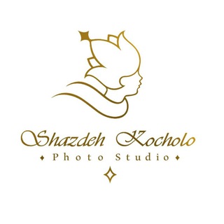 Логотип канала shazdehkocholo_studio