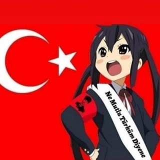 Логотип канала turkishsteam