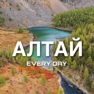 Логотип altayeveryday