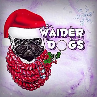 Логотип канала waiderdogs