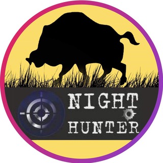 Логотип канала nighthuntershop