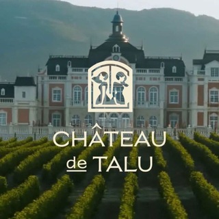 Логотип chateaudetalu