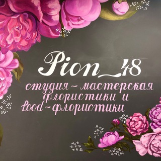 Логотип канала pion_48