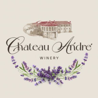 Логотип chateau_andre