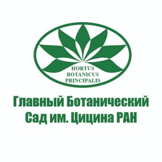 Логотип канала gbsad