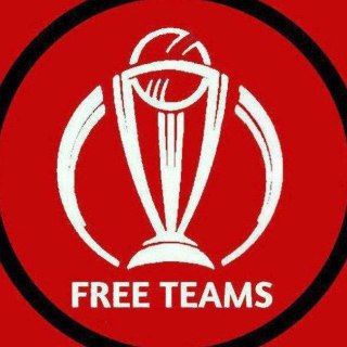 Логотип канала fantasy_cricket_experts_team