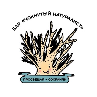 Логотип канала madnaturalist