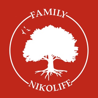 Логотип канала nikolifefamily