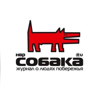 Логотип канала sobaka_ru_nvr