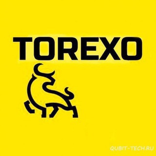 Логотип канала torexo_finance_2021