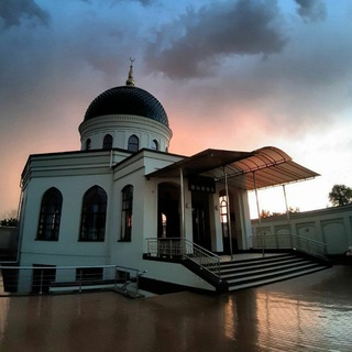 Логотип канала toshloqmasjidi