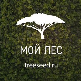 Логотип канала treeseednews