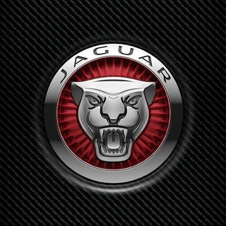 Логотип канала jaguar_chat_kupit