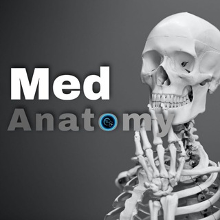 Логотип канала ah_med_anatomy