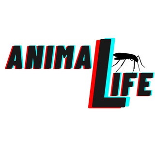 Логотип канала animalife