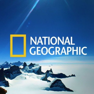 Логотип канала national_geographic0