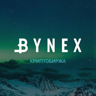 Логотип bynex_info