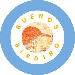 Логотип buenos_birding