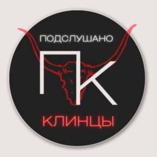 Логотип канала klintsy