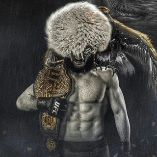 Логотип канала khabibnurmagomedov_ufc