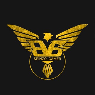 Логотип канала spinzogamer