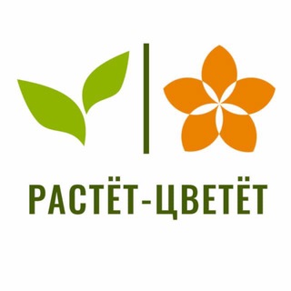 Логотип rastcvet_lipetsk