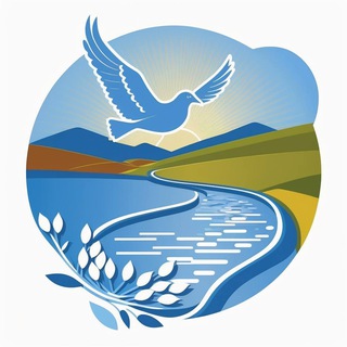 Логотип mirpmr