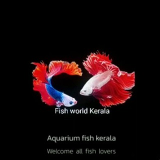 Логотип канала fishworldkerala