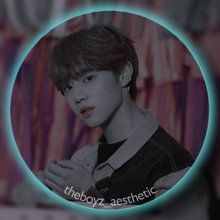 Логотип канала theboyz_aesthetic