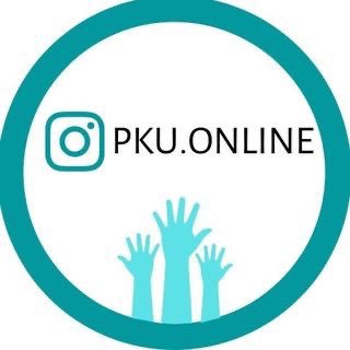 Логотип канала pkuonline