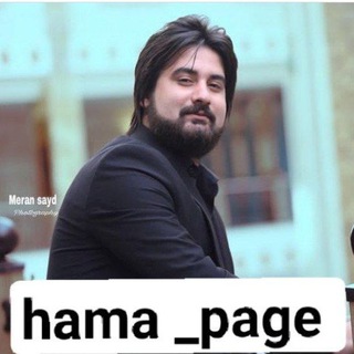 Логотип hama_page