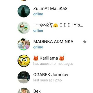 Логотип ozbegim_n1