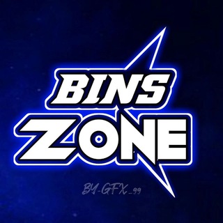 Логотип binszone