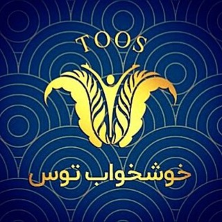 Логотип khosh_khab_toos