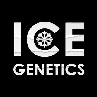 Логотип канала ice_archive