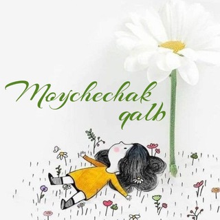 Логотип moychechak_qalbb