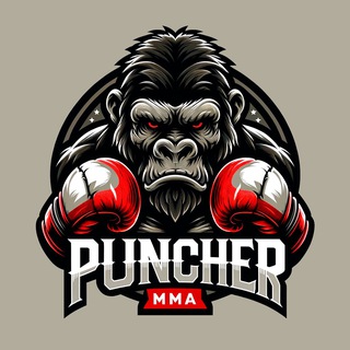 Логотип канала puncher_mma295