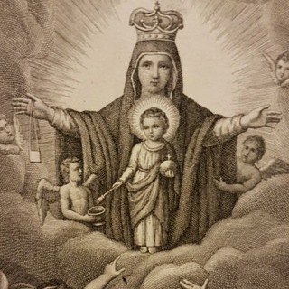 Логотип canalmontecarmelo