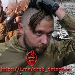 Логотип канала chub_detection
