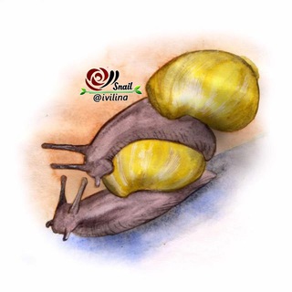 Логотип канала ivilina_snail