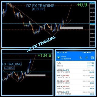 Логотип канала dzfxtrading