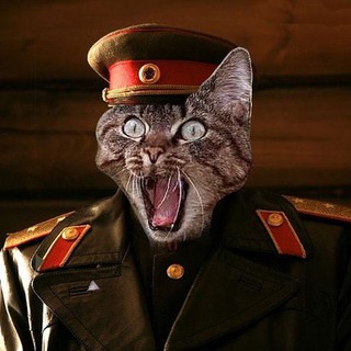 Логотип канала catgeneral