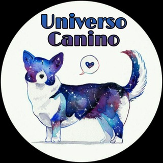 Логотип канала universocanino