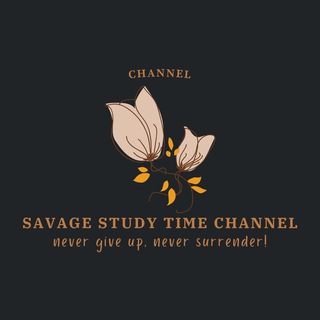 Логотип канала savagestudytimechannel