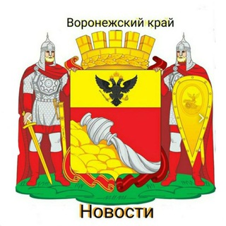 Логотип voronezh24