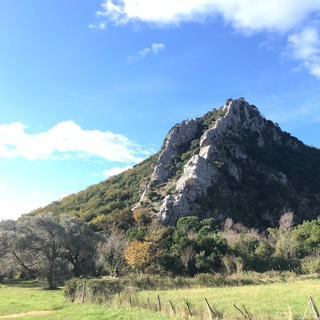 Логотип канала montenegrobudva