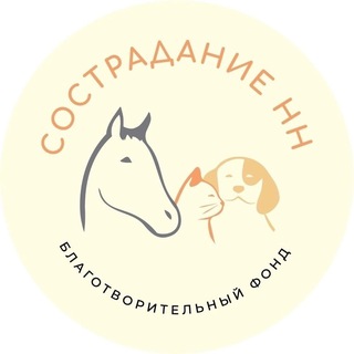 Логотип канала fundsostradanienn